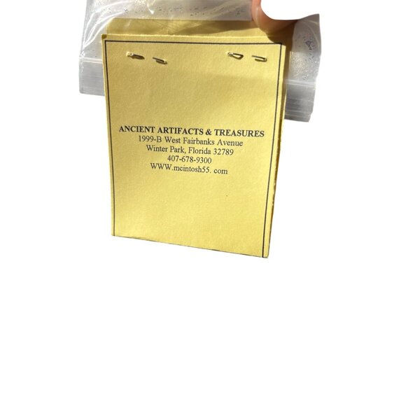 Dinosaur Coprolite (Dung) Fossil 65-85 Million Years Old - Picture 4 of 6